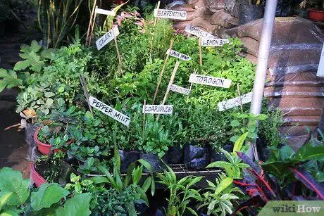 Image titled Grow Vegetables Vertically Step 6