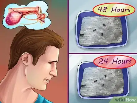 Image titled Treat Diarrhea and Constipation in Dogs and Cats Step 7