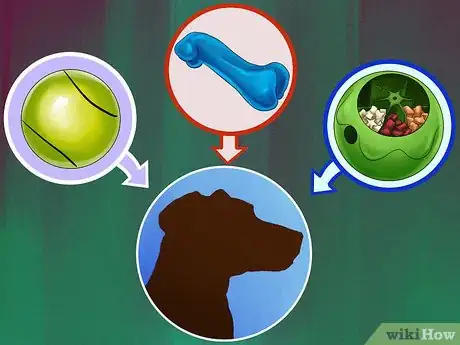 Image titled Rotate Your Dog's Toys Step 4