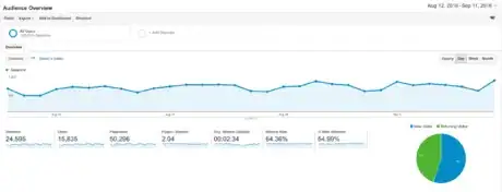 Image titled Google Analytics audience overview.png