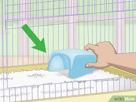 Image titled Choose a Hideaway for Your Hamster Step 1