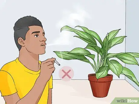 Image titled Grow Chinese Evergreens (Aglaonema) Step 14