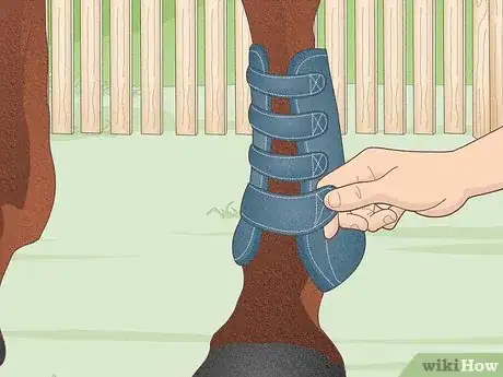 Image titled Fit a Horse for Support Boots Step 9