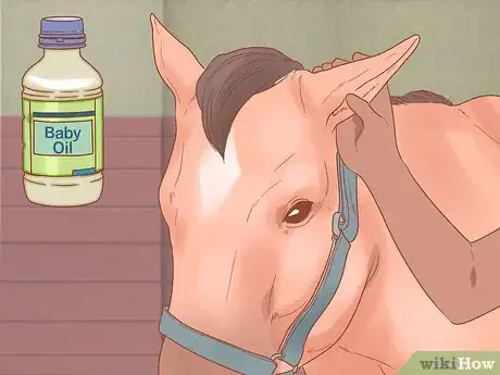 Image titled Groom a Horse for a Show Step 22