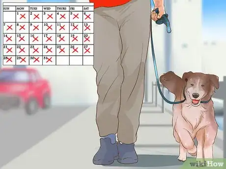 Image titled Protect an Easily Disoriented Older Dog Step 6