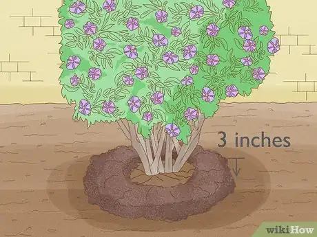 Image titled Care for a Purple Flower Potato Bush Step 4
