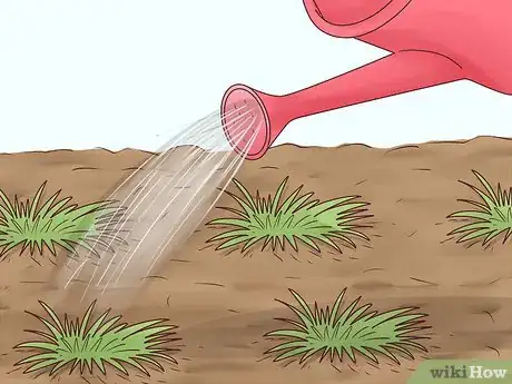 Image titled Plant Grass Plugs Step 8