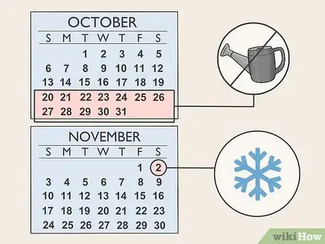 Image titled Overwinter Fuchsias Step 10