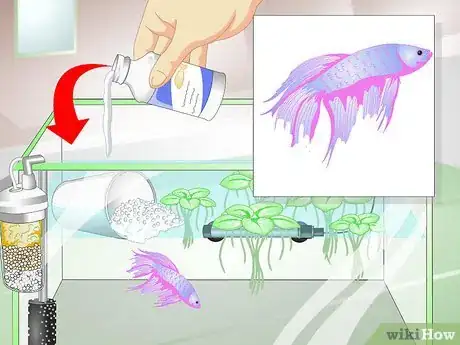 Image titled Provide a Protective Breeding Environment for Betta Fish Step 16
