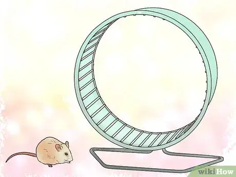 Image titled Exercise Pet Mice Step 3