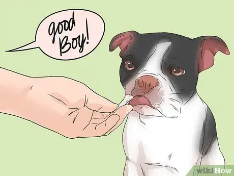 Image titled Identify and Correct Unwanted Dog Behaviors Step 6