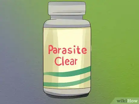 Image titled Keep Saltwater Fish Without Doing Water Changes Step 12