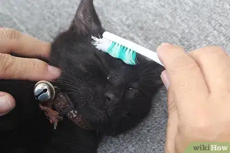 Image titled Make a Homemade Cat Spa Step 12