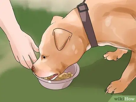 Image titled Tell if a Dog Is Getting Food Aggression Step 9
