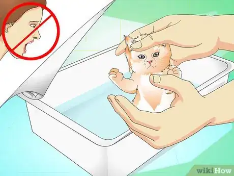 Image titled Give a Kitten a Bath Step 6