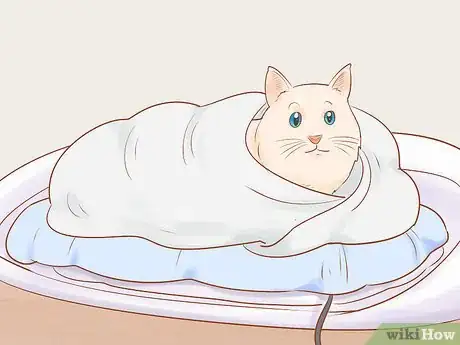 Image titled Diagnose and Treat Hypothermia in Cats Step 7