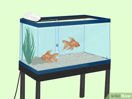 Image titled Install an Undergravel Filter (UGF) Step 14