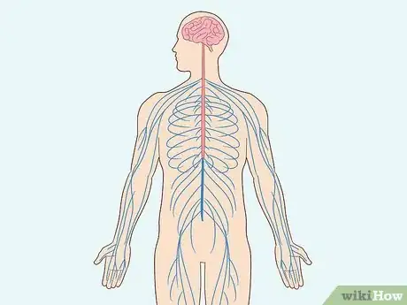 Image titled Treat Neurological Disorders Step 1