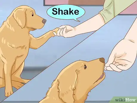 Image titled Stop a Dog from Pawing Step 6