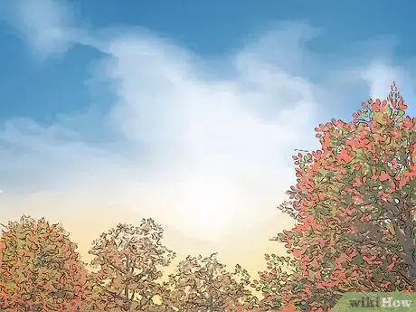 Image titled Photograph Autumn Step 5