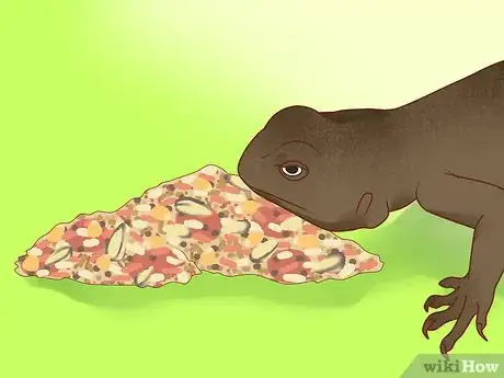 Image titled Feed a Lizard Step 15
