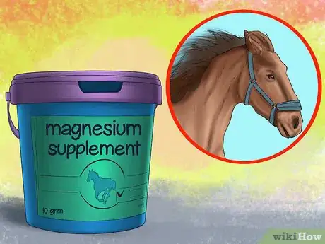 Image titled Feed a Horse Magnesium Step 2