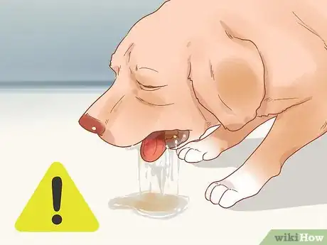 Image titled Know When Your Dog is Sick Step 15