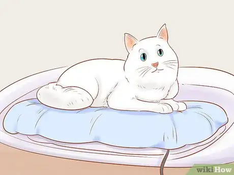 Image titled Diagnose and Treat Hypothermia in Cats Step 6