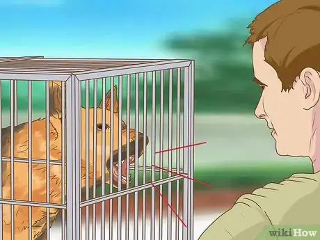 Image titled Evaluate a Dog's Temperament Before Choosing Step 1