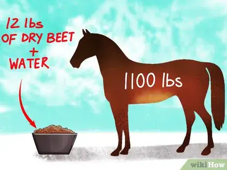 Image titled Feed Sugar Beet to a Horse Step 10