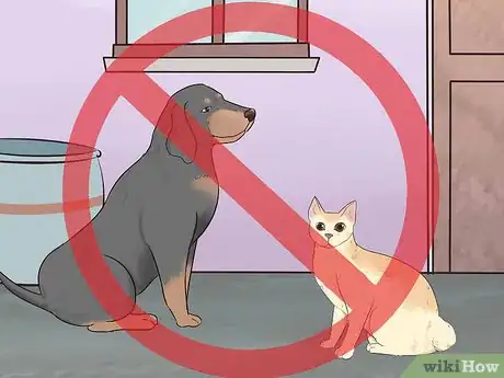 Image titled Train Your Rat to Do Tricks Step 2