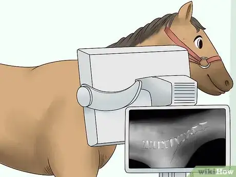 Image titled Handle Equine Wobblers Syndrome Step 6