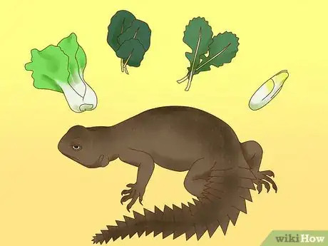 Image titled Feed a Lizard Step 12
