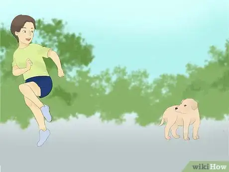 Image titled Catch Your Dog when They Run After Another Dog or Person Step 4