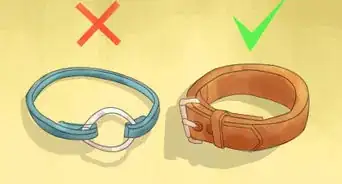 Teach Your Dog to Heel