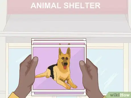 Image titled Start a Pet Photography Business Step 14