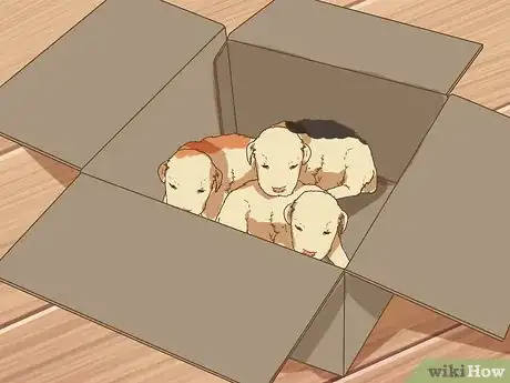 Image titled Deal with Newborn Puppy Nipple Guarding Step 4