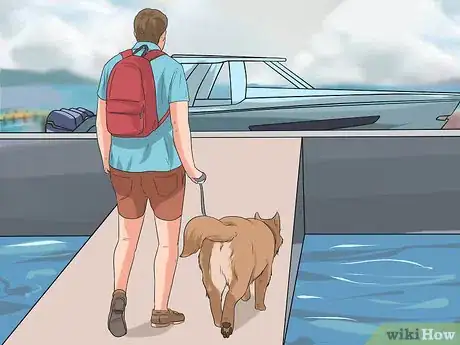 Image titled Go Boating With Your Dog Step 1