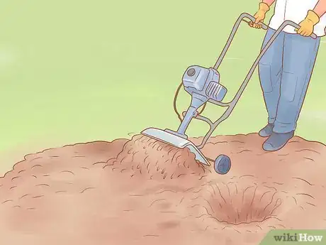 Image titled Plant Leyland Cypress Step 13