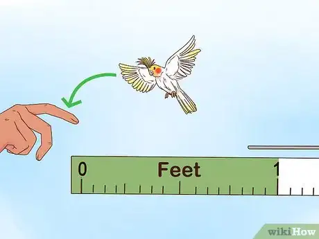 Image titled Train Cockatiels Step 14