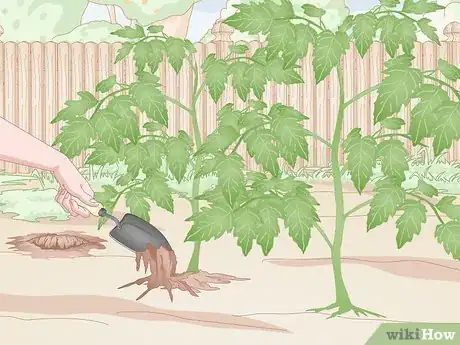 Image titled Prevent Spider Mites Step 3