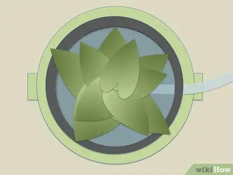 Image titled Make One Plant Hydroponics Step 13