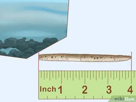 Image titled Fish Senko Step 1