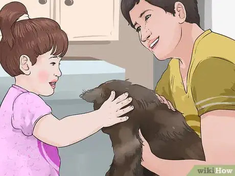 Image titled Take Care of Your Long Haired Maine Coon Step 8