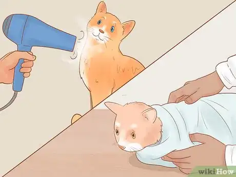 Image titled Diagnose and Treat Hypothermia in Cats Step 5
