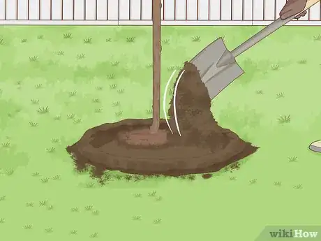 Image titled Plant a Shrub Step 21