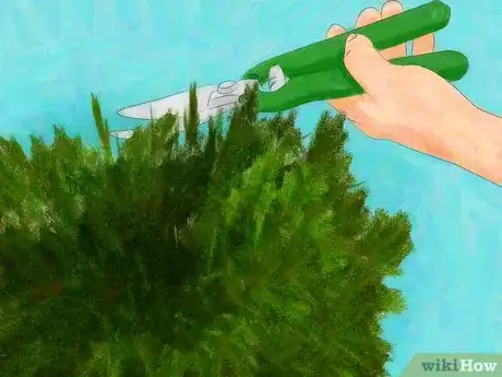 Image titled Plant Juniper Step 16