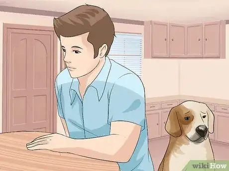Image titled Help a Dog Overcome a Fear of Fireworks or Thunder Step 6