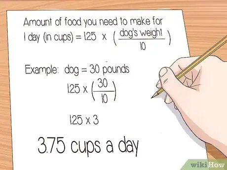 Image titled Ease Your Dog's Stomach Problems Step 12