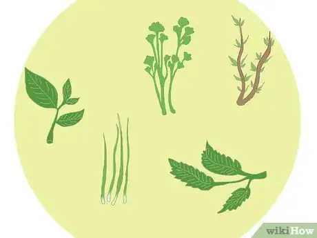 Image titled Start an Herb Garden Business Step 3